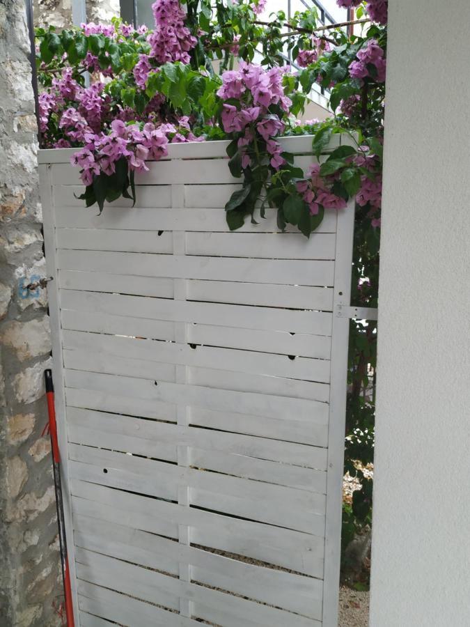 Studio Apartman Violeta II - 50M From The Beach 特罗吉尔 外观 照片